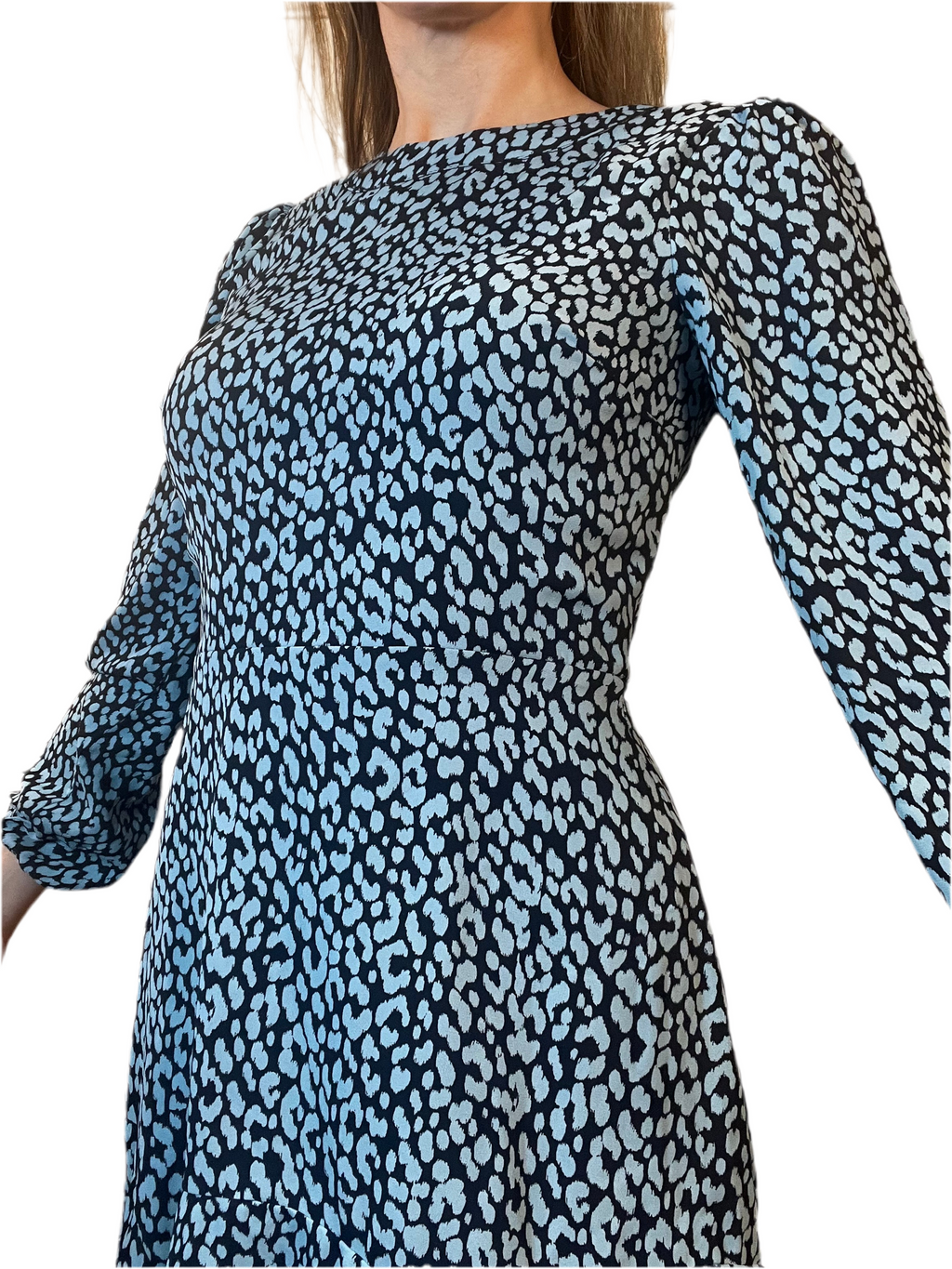 Blue Cheetah Print Day Dress